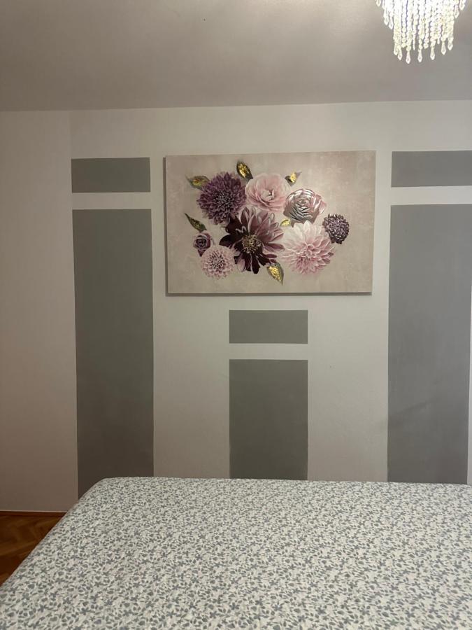 Apartman Vesna سبليت المظهر الخارجي الصورة
